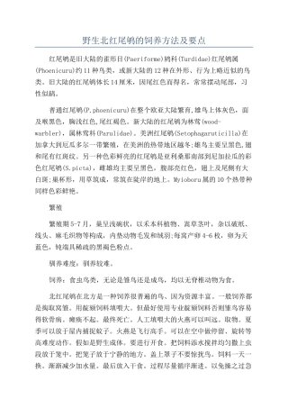 野生北红尾鸲的饲养方法及要点