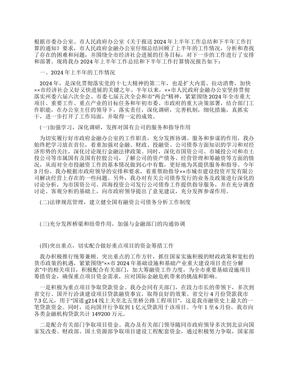 金融办2024年上半年工作总结及下半年工作打算_第1页