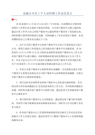 金融公司员工个人试用期工作总结范文