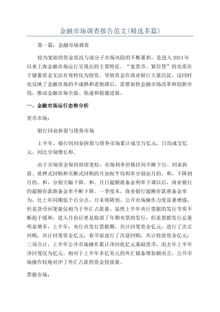 金融市场调查报告范文