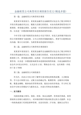 金融租赁公司典型项目调查报告范文