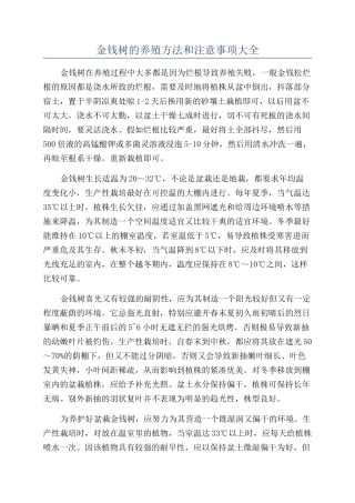 金钱树的养殖方法和注意事项大全