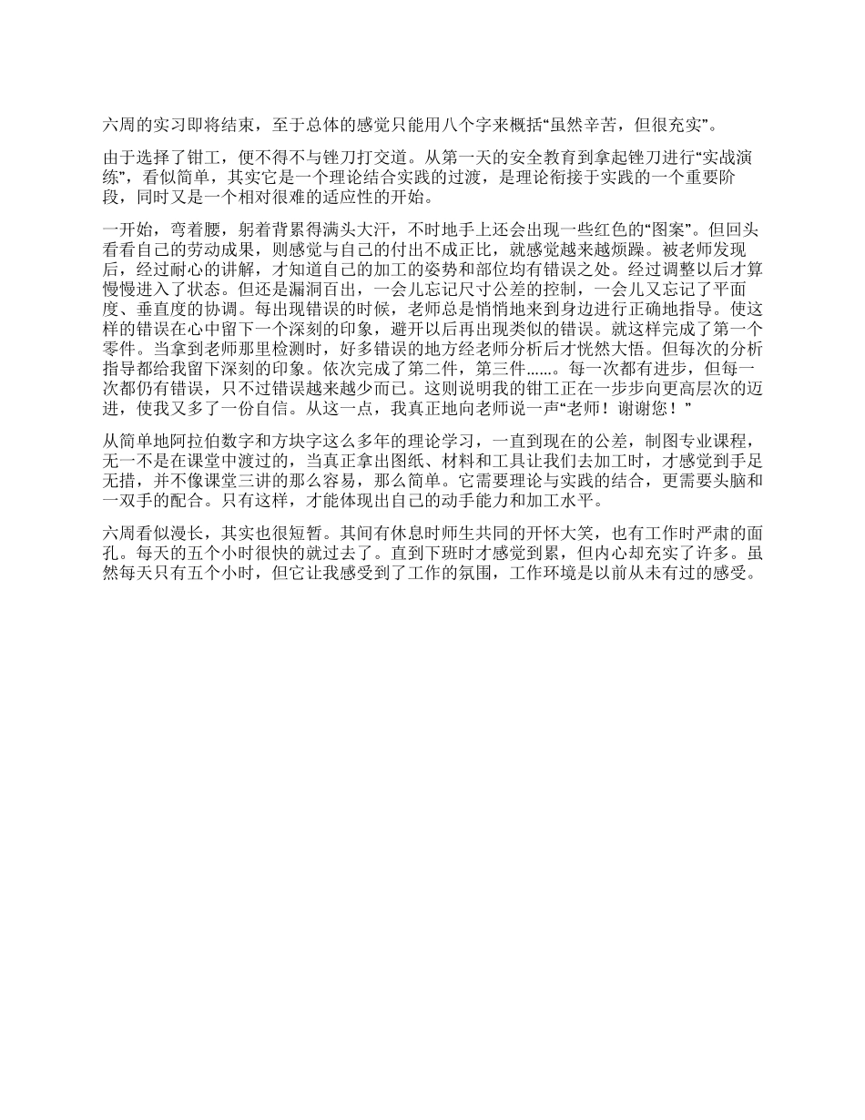 钳工实习工作报告_第1页