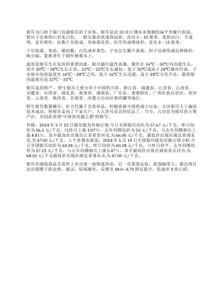 银耳市场研究报告调查报告