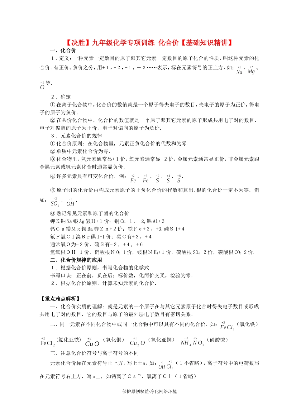 【决胜】九年级化学专项训练 化合价【基础知识精讲】_第1页