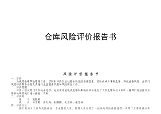 仓库风险评价报告书