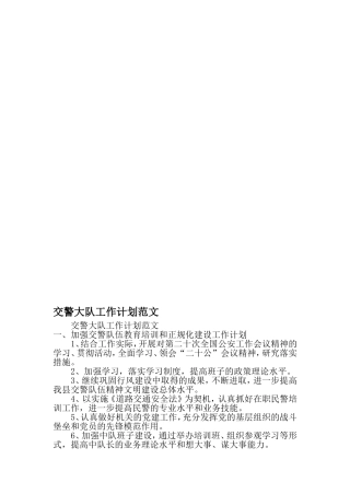 交警大队工作计划范文