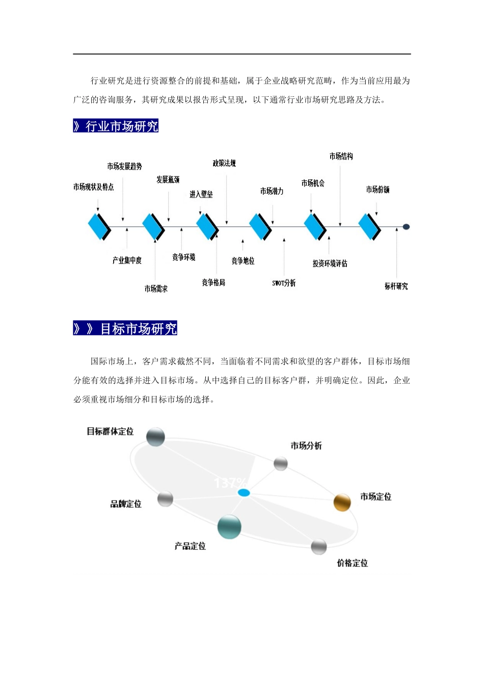 中节能家电国行业市场发展现状与投资分析报告_第2页