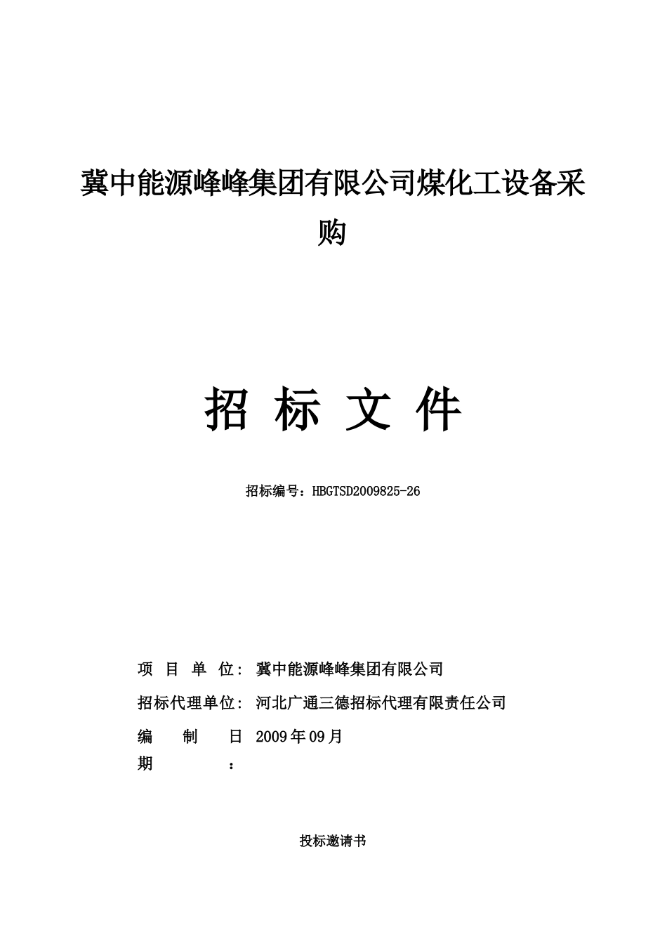 某能源集团公司煤化工设备采购招标文件_第1页