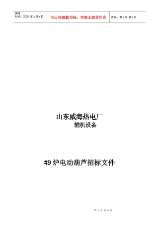 某热电厂#9炉电动葫芦招标文件