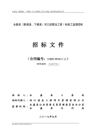 某河口段整治工程标施工监理招标招标文件