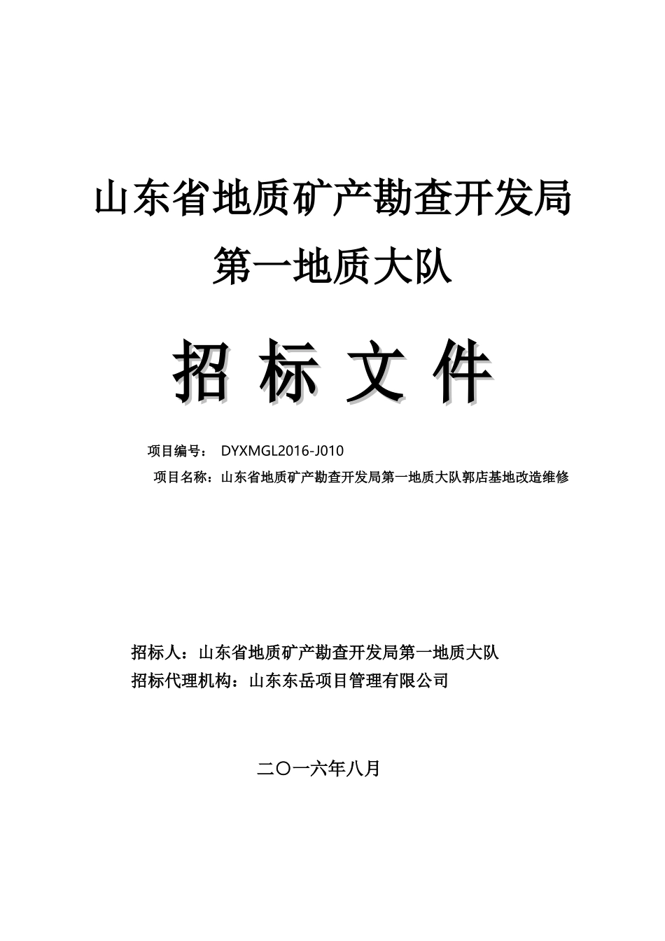某省地质矿产勘查开发局招标文件_第1页