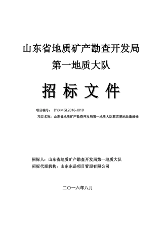 某省地质矿产勘查开发局招标文件
