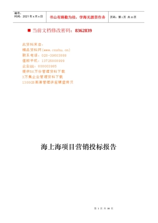 海上海项目营销投标报文件