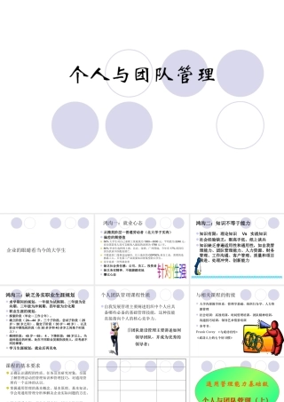 《个人与团队管理》辅导资料下