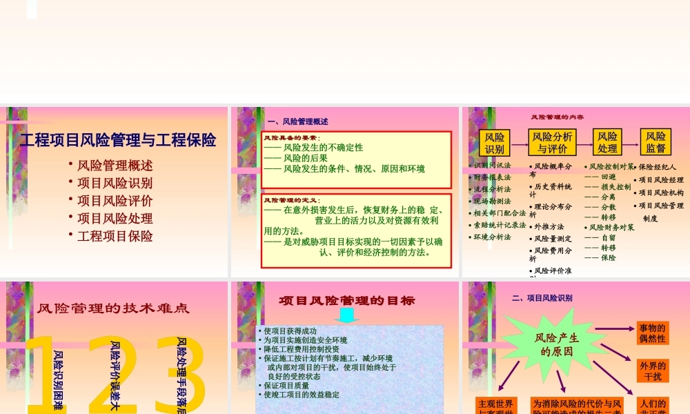 《工程项目风险管理与工程保险》