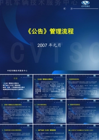 《公告》管理流程