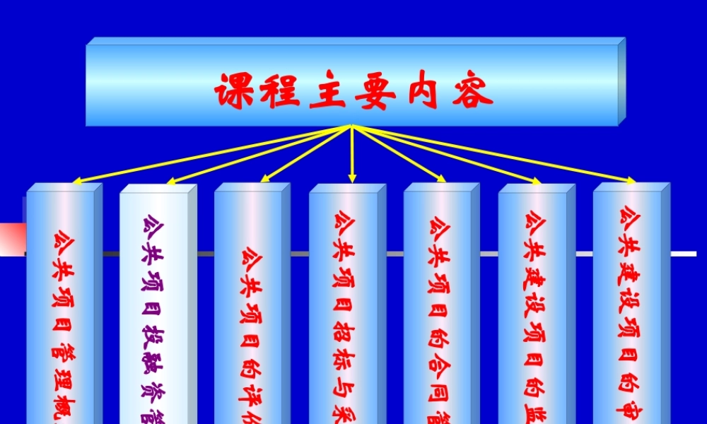 《公共项目管理》课程