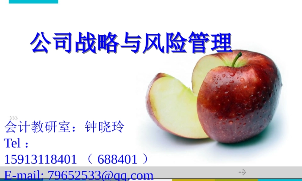 《公司战略与风险管理》第一章