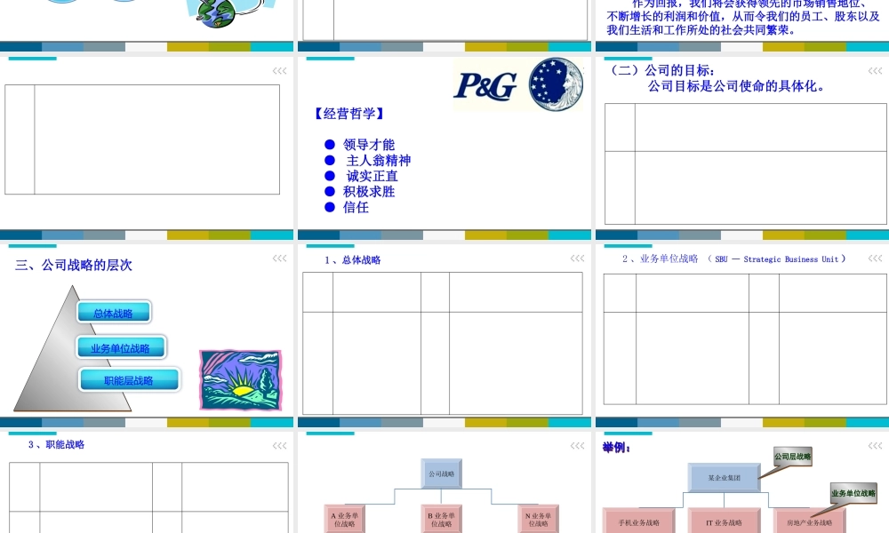 《公司战略与风险管理》第一章
