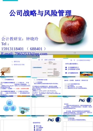 《公司战略与风险管理》第一章