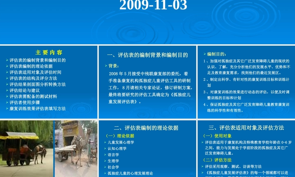 《孤独症儿童发展评估表》介绍(王辉)
