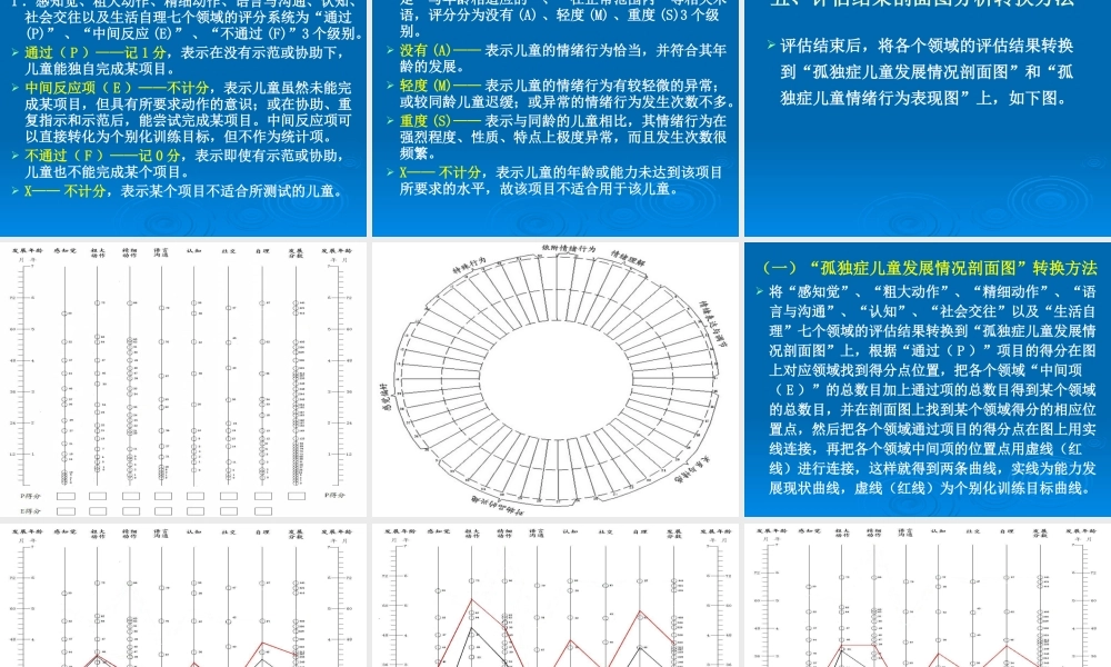 《孤独症儿童发展评估表》介绍(王辉)