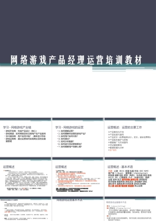 《网络游戏运营手册》网络游戏产品经理运营培训教材