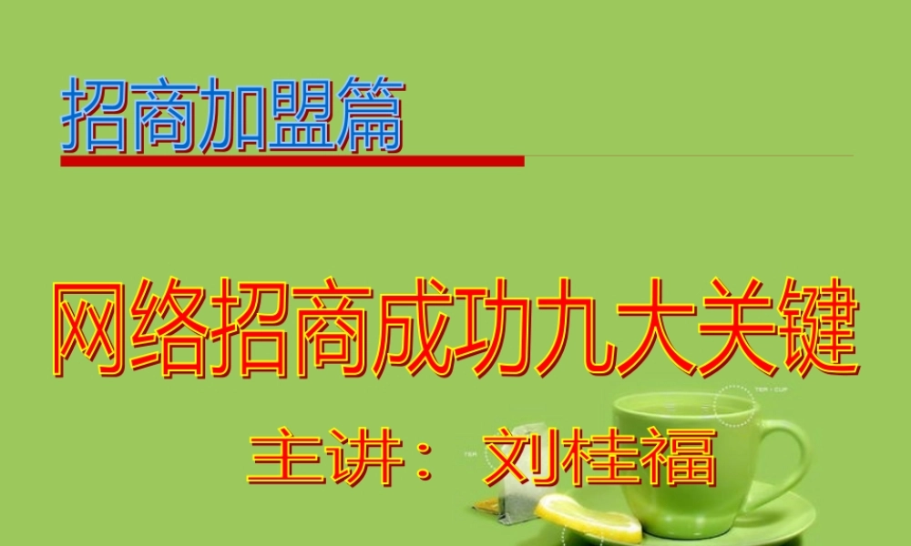 《网络招商成功九大关键》