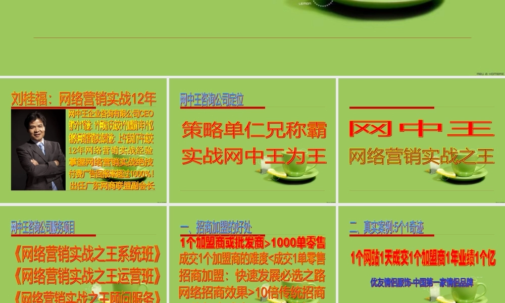 《网络招商成功九大关键》