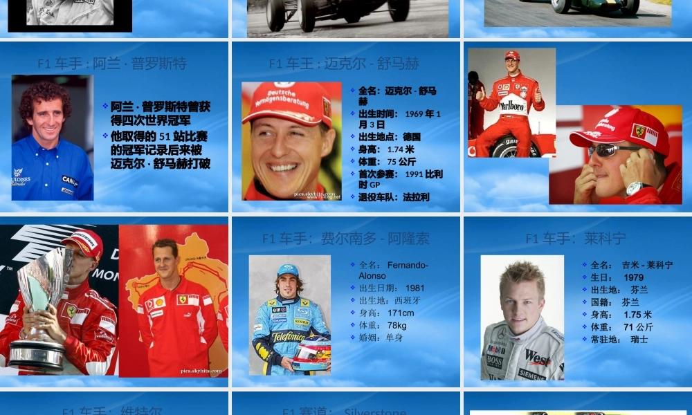 世界顶级汽车赛事F1
