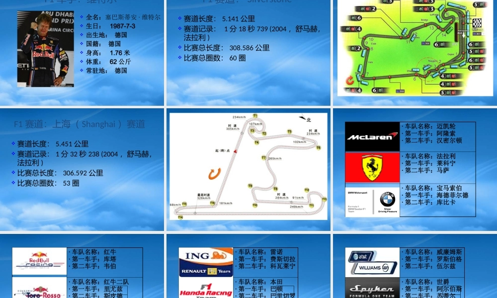 世界顶级汽车赛事F1