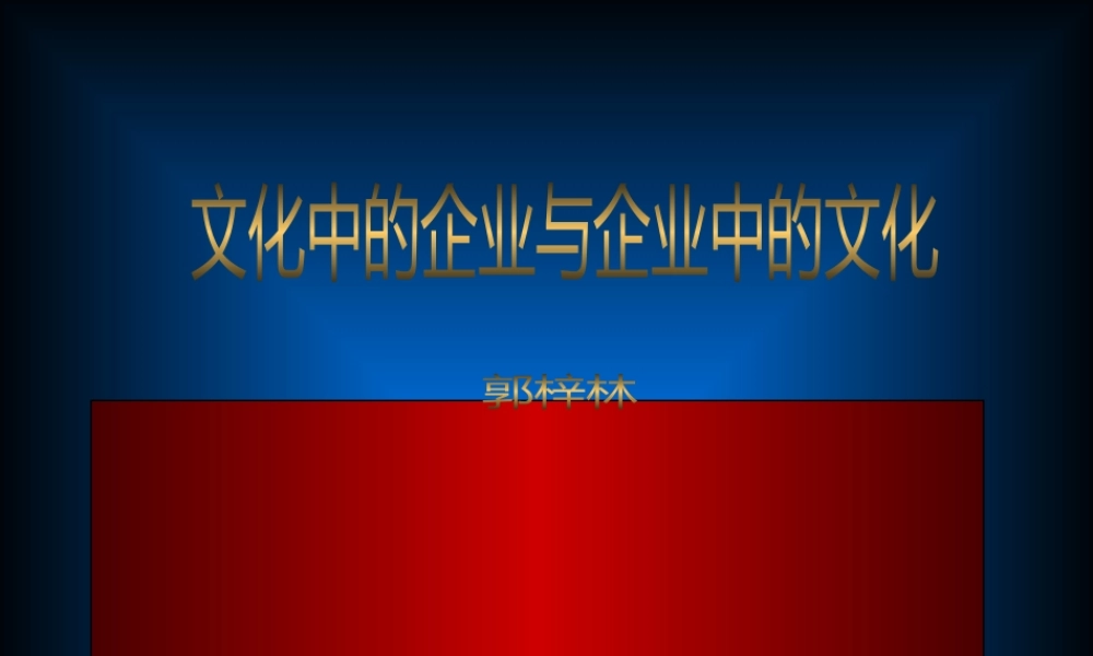 《文化中的企业与企业中的文化》中文ppt 52页