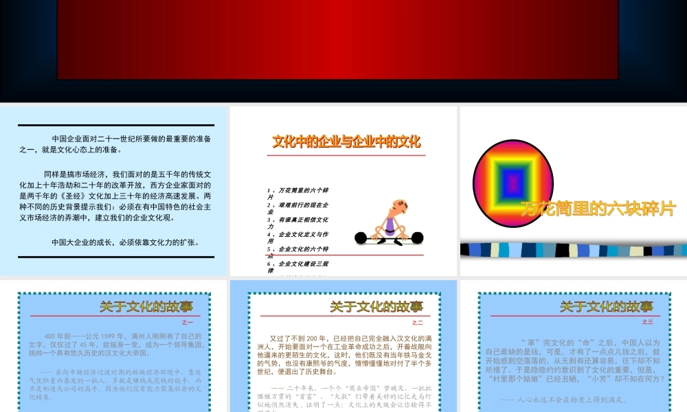 《文化中的企业与企业中的文化》中文ppt 52页