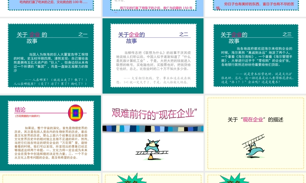 《文化中的企业与企业中的文化》中文ppt 52页