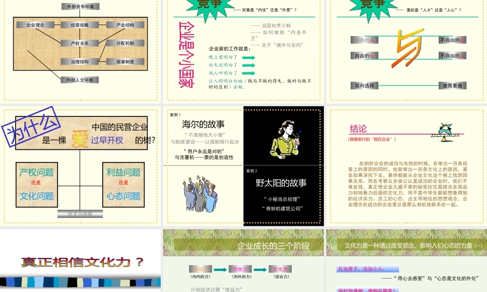 《文化中的企业与企业中的文化》中文ppt 52页