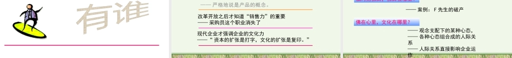 《文化中的企业与企业中的文化》中文ppt 52页