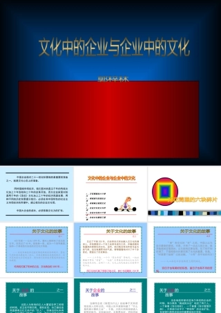 《文化中的企业与企业中的文化》中文ppt 52页
