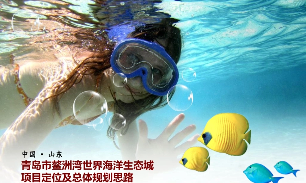 世界海洋生态城项目定位及总体规划思路概述