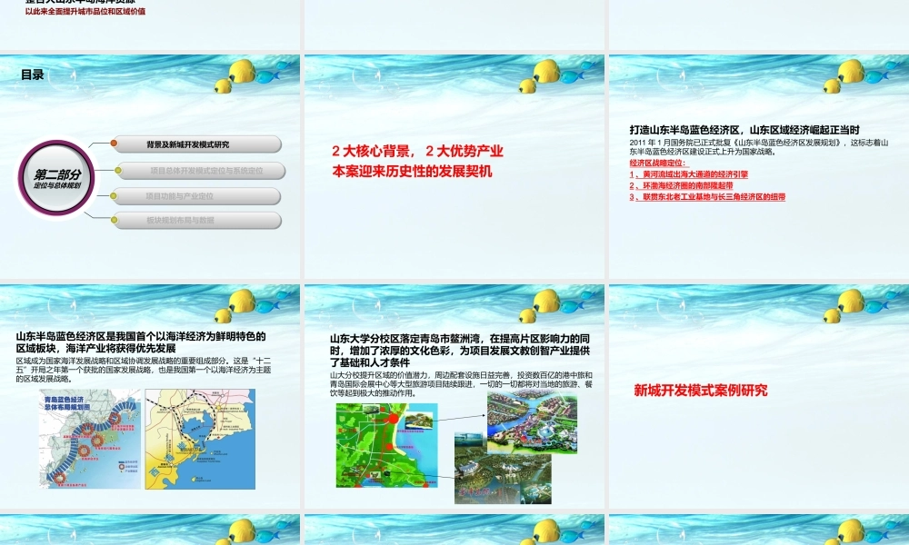 世界海洋生态城项目定位及总体规划思路概述