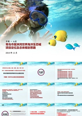 世界海洋生态城项目定位及总体规划思路概述