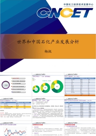 世界和中国石化产业发展分析课件