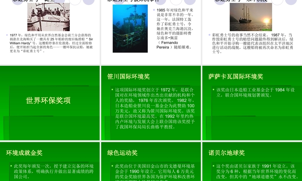 世界环保组织概述