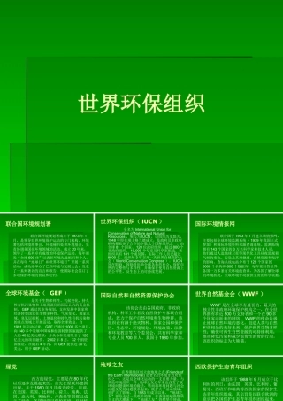 世界环保组织概述