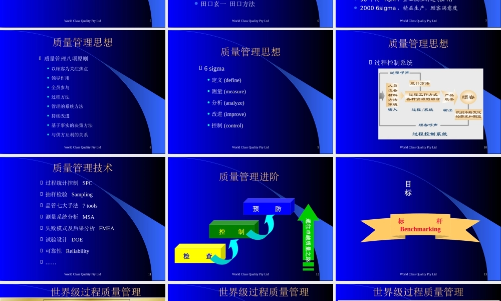 世界级500强企业过程质量管理