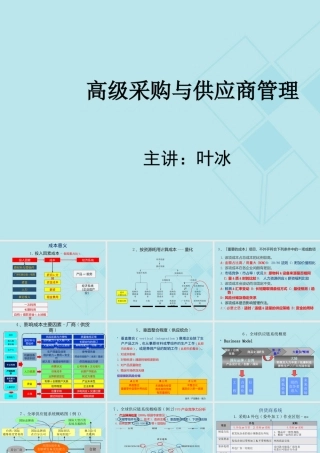 世界级采购与供应商管理(经典教材)