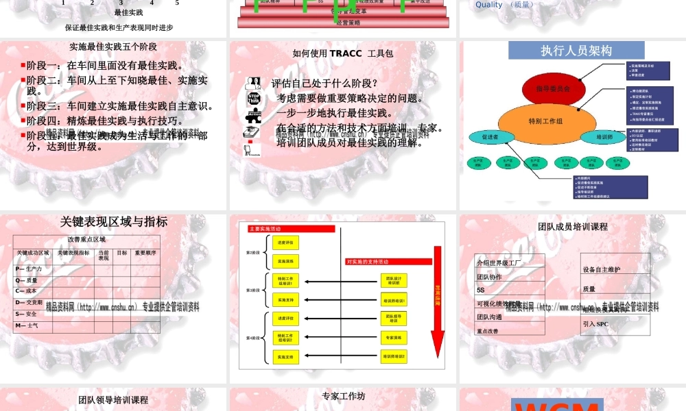 世界级工厂(WCM)执行最佳实践