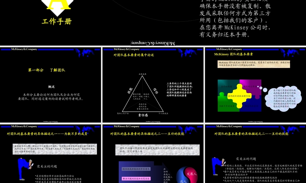 【培训课件】某咨询内部培训手册——团队的智慧