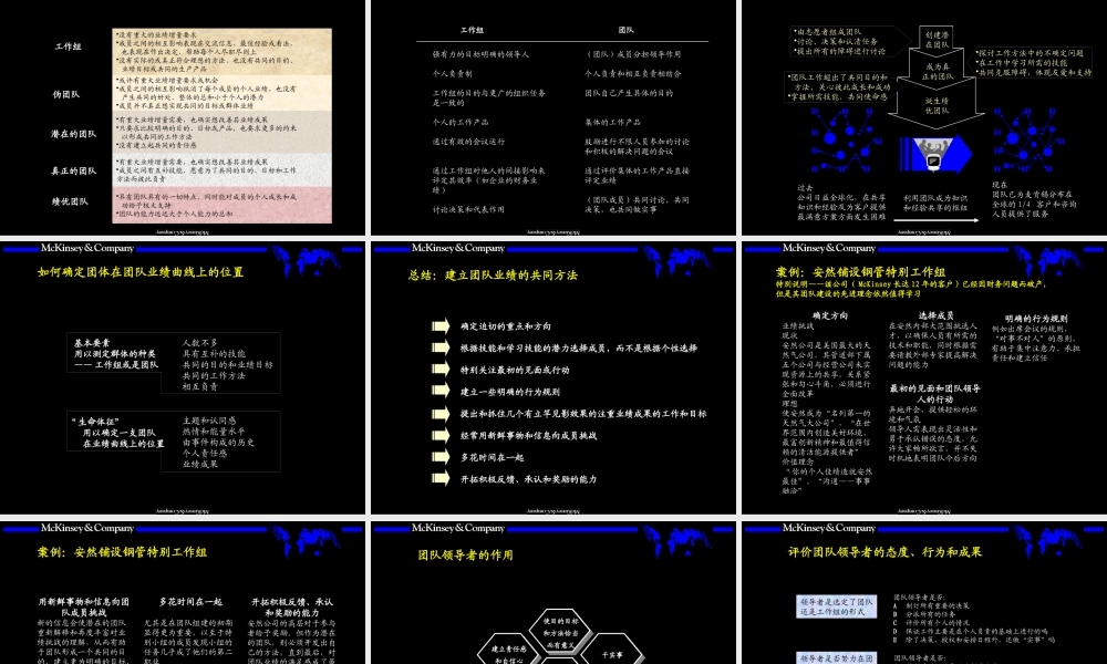 【培训课件】某咨询内部培训手册——团队的智慧