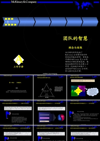 【培训课件】某咨询内部培训手册——团队的智慧